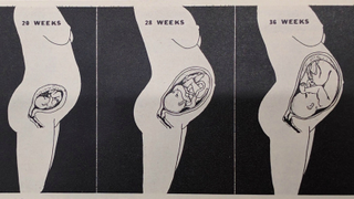 The Random Quarter That Landed<i> Life</i> Magazine in Court for Indecency